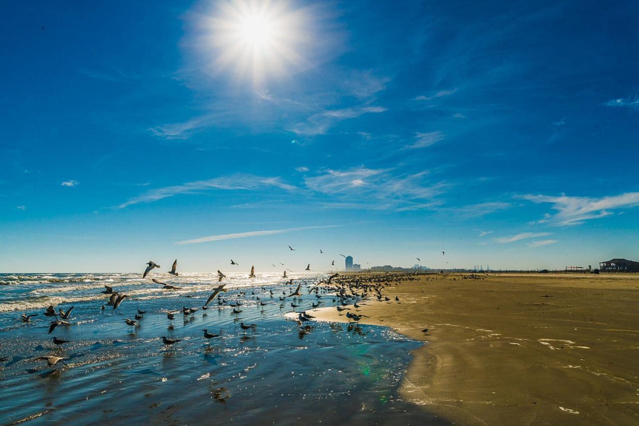 Blue Skies Ahead Quick Walk Into Town And Beach Galveston Bagian luar foto