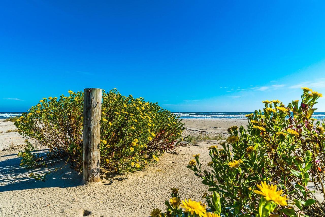 Blue Skies Ahead Quick Walk Into Town And Beach Galveston Bagian luar foto